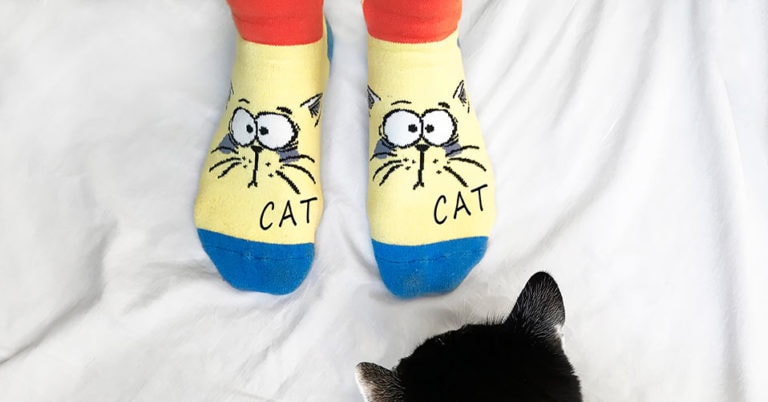 Die 4 Besten Katzensocken (2024) im Test!