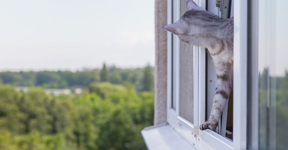 Katzenklötze Kipp-Fensterschutz für Katzen Katzennetz Fallschutz OHNE  BOHREN